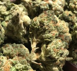 Kaufen Sie die Cannabissorte Remedy online in Essen, Nordrhein-Westfalen, Deutschland